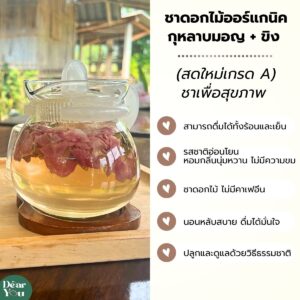 ชาดอกกุหลาบมอญขิง5