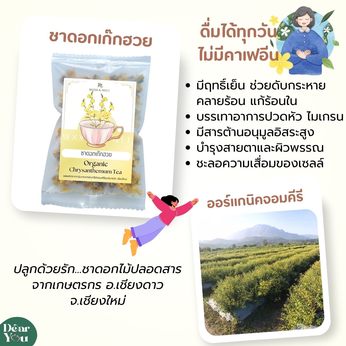 ชาดอกเก๊กฮวย7
